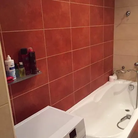 Апартаменты 2 Kambariu Apartamentai Klaipedos Centre Клайпеда